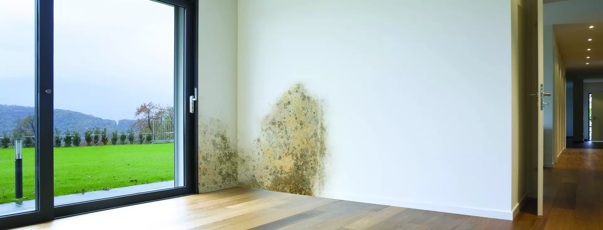Internal Wall Dampness